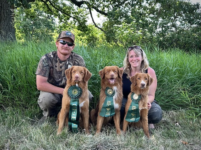 Hawkeye, Mojo and Promise at the BYC field test in 2023