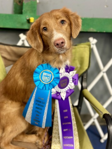 New UKC Rally Title and High in Trial award