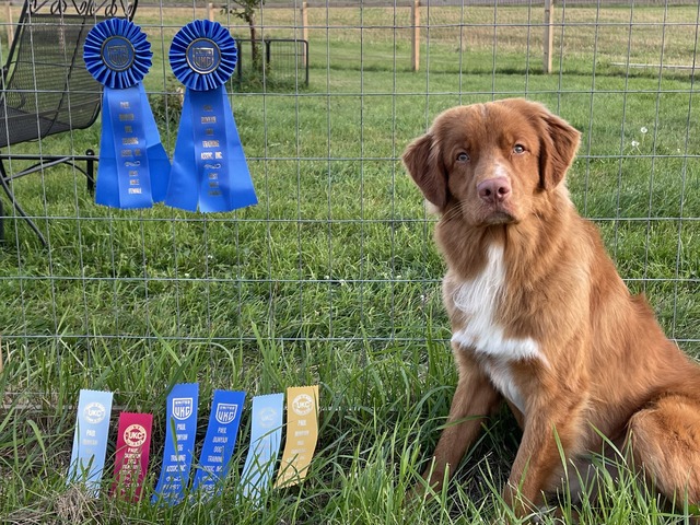 Mojo - 9 months